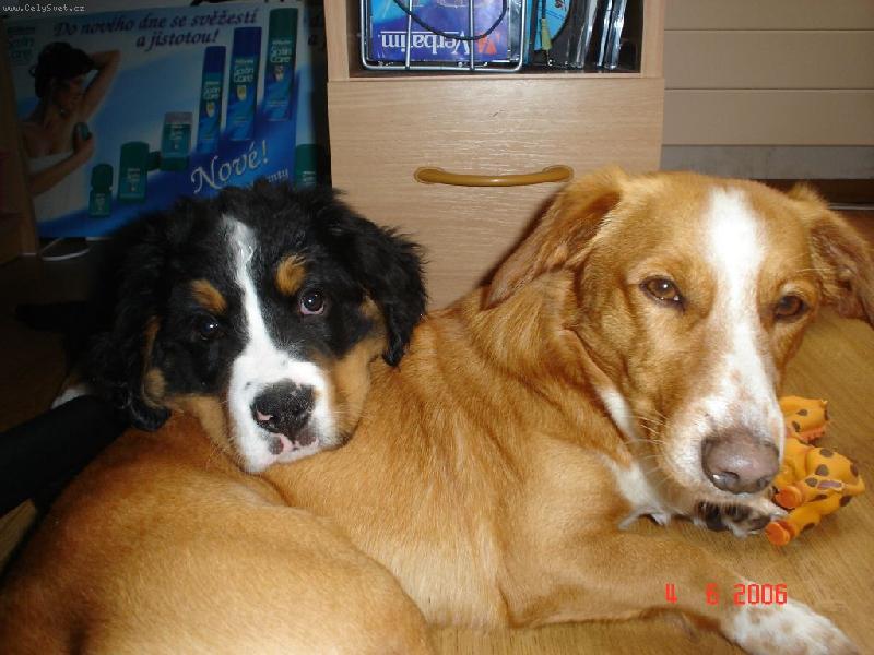 Foto: Edy a Okty-moje zlatíčka..