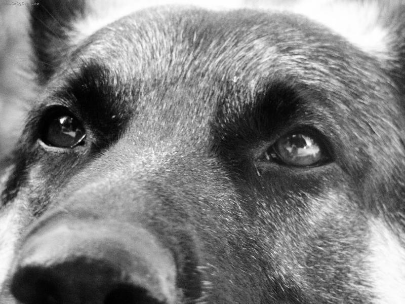 Foto: Pohled mluvící za vše