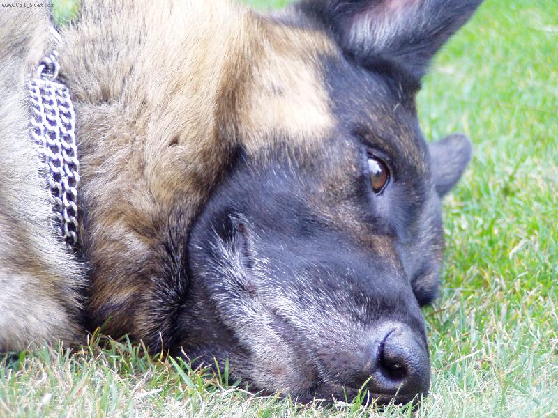 Foto: Mám ten svět rád...