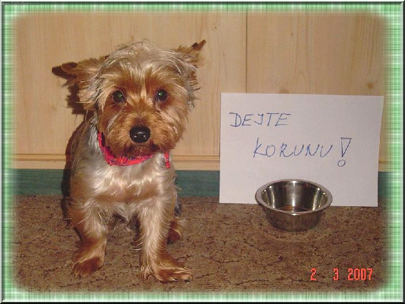 Foto: Monty-žebráček