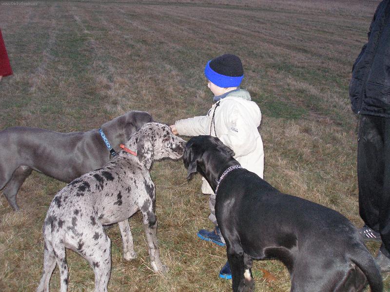 Foto: Na všechny se dostane-Rozdávání pamlsků