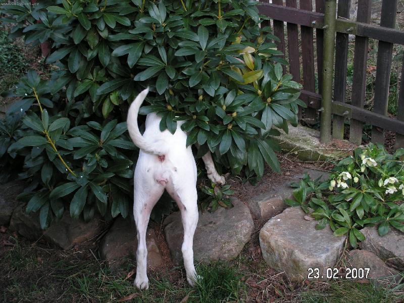 Foto: našli nebo nenašli