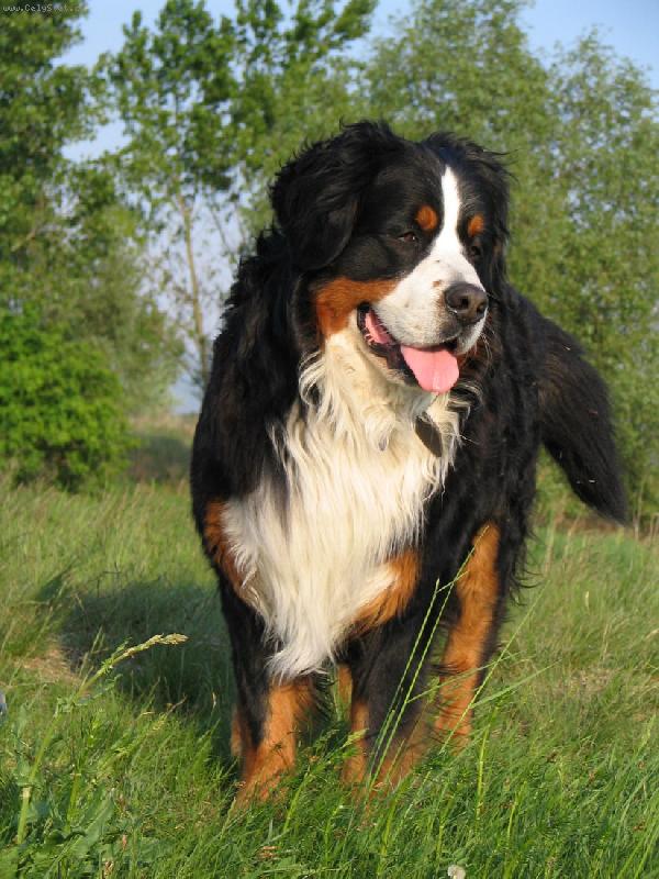 Foto: Azor from Billabongfarm-a toto je fotene kedysi v lete