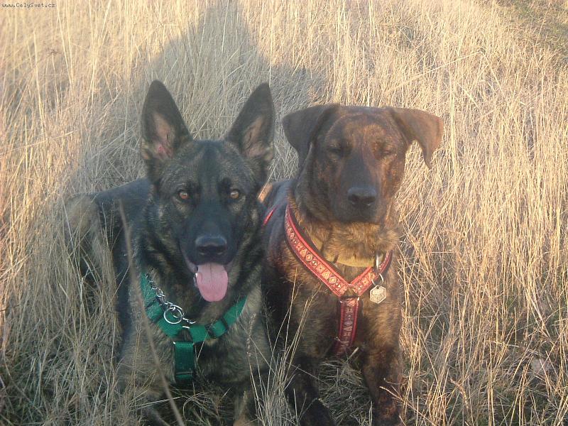 Foto: Terri ze Zlaáku+Sally