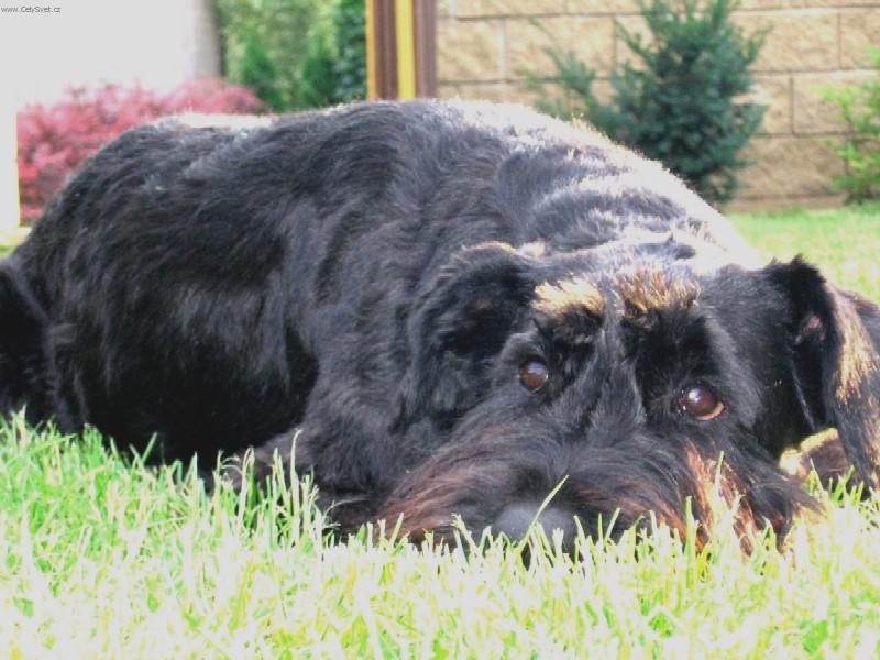 Foto: Linn Bitt Box-Odpolední siesta