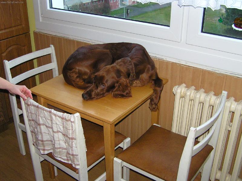 Foto: Že by váza?-Démon odpočívá