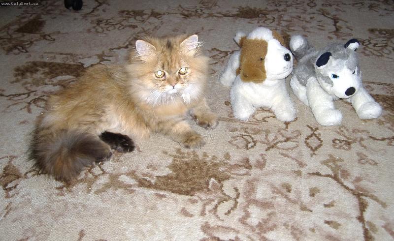 Foto: Já a moji kamarádi