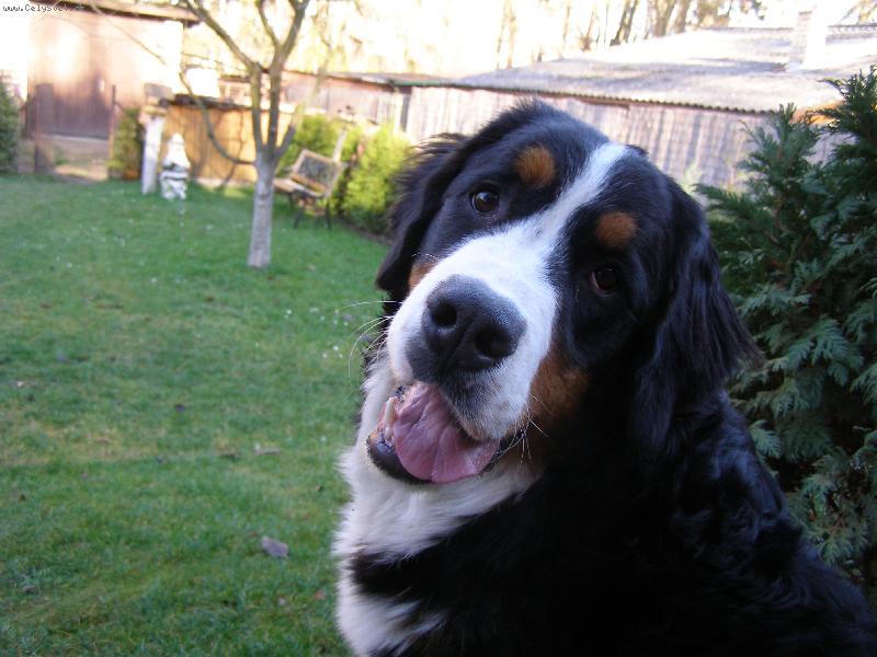 Foto: Elisa ze Staměřic-ahoj