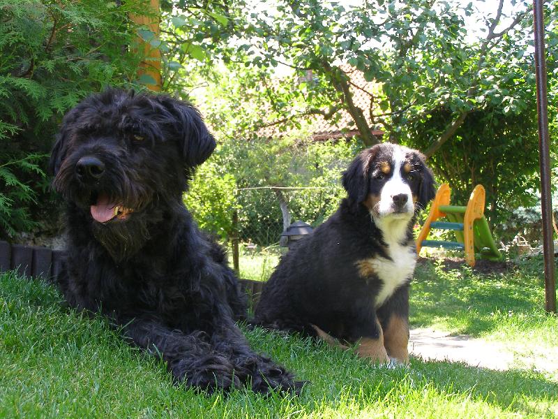 Foto: Elisa ze Staměřic a Betinka