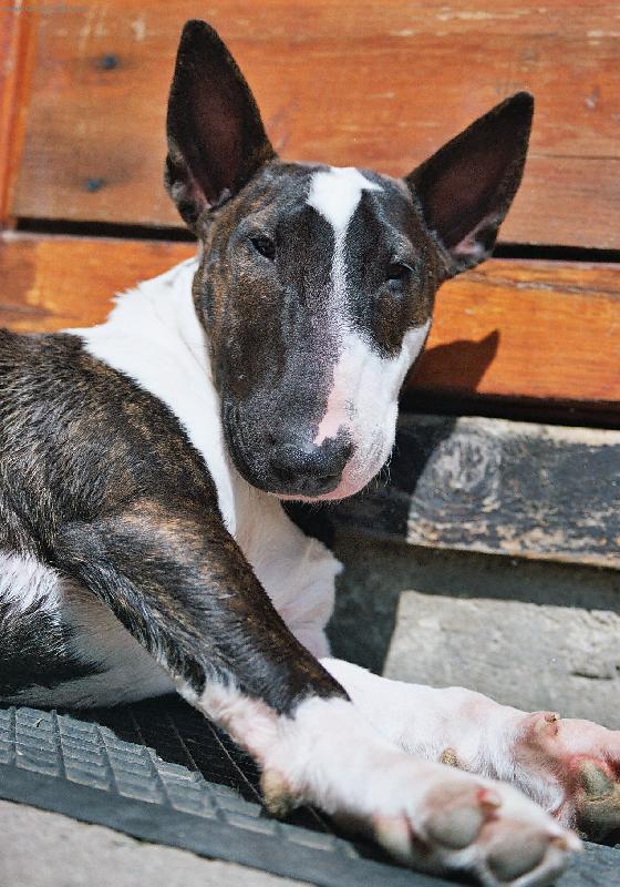 Foto: Balu-Tak už vyfoceno??