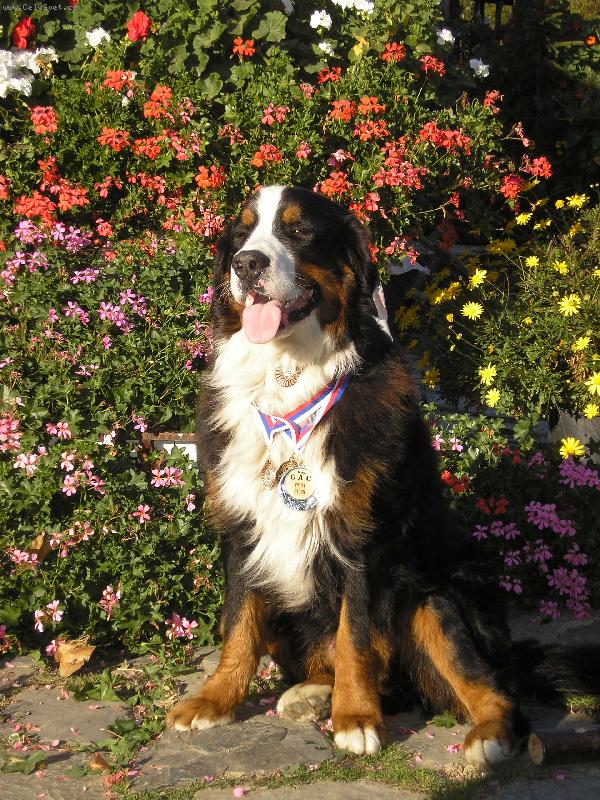 Foto: Argonath Valašské slunce-Sluší mi to