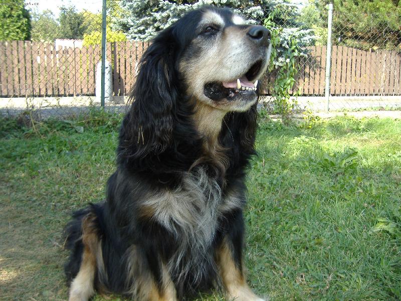 Foto: Max-Léto 2006