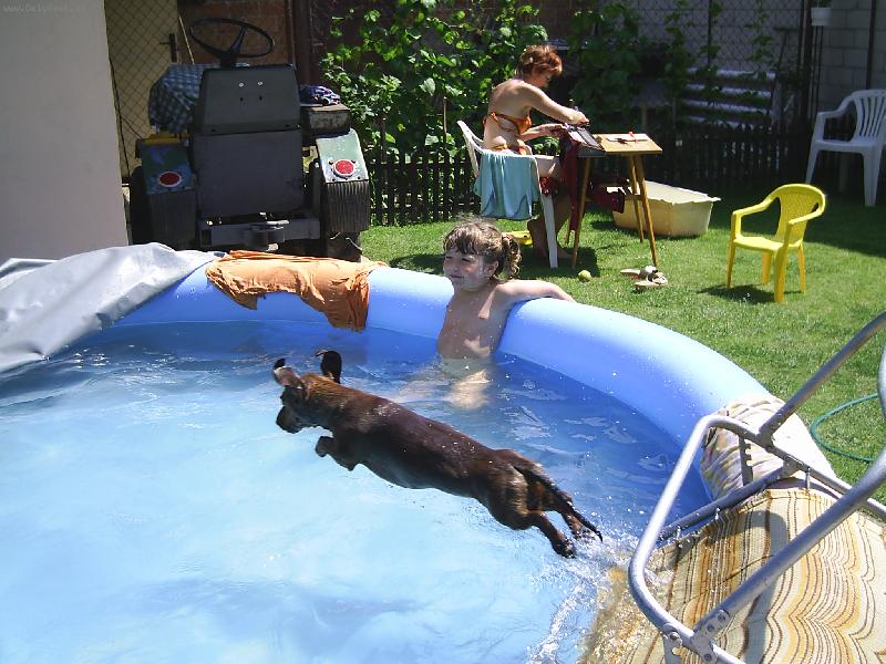 Foto: Sakra,zase placák,já se tu šipku snad nenaučím!!!