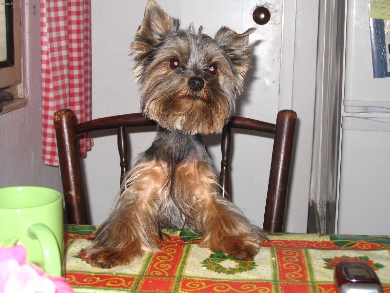 Foto: Kubik-dejte mi najíst!!