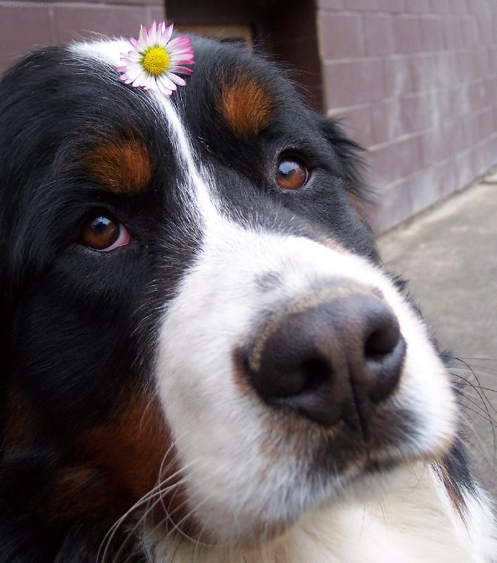 Foto: jen pro ty jeho oči.........