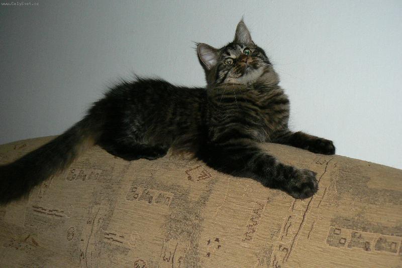 Foto: Sailinka-úsměv prosím