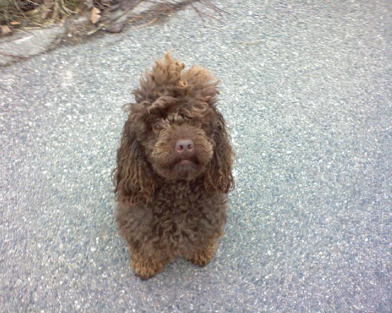 Foto: Agátka-Na procházce