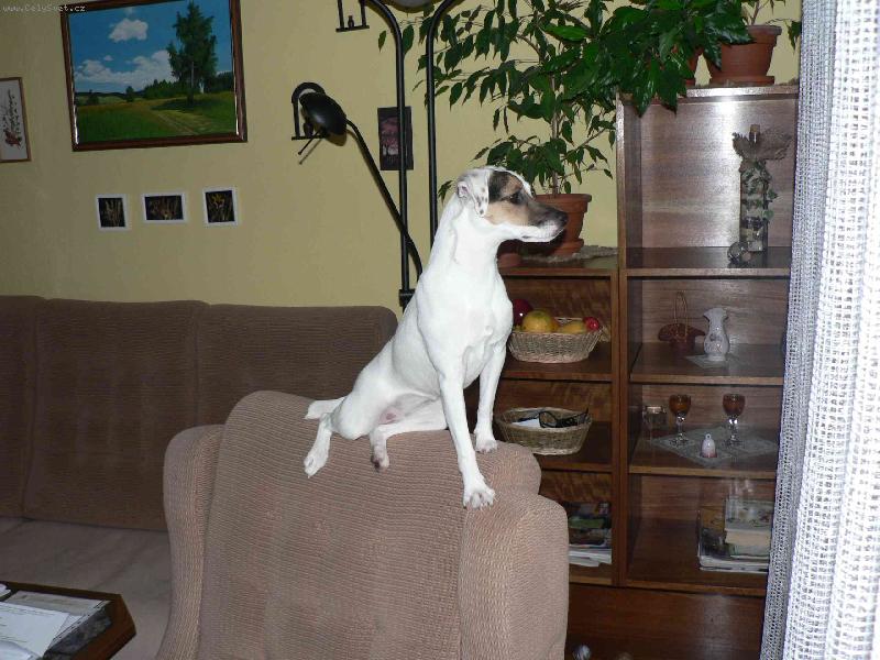 Foto: FATTY HOP TROP-Copak se to venku zase děje...