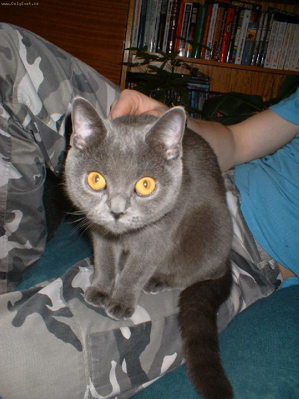 Foto: Deniska-Mám ráda svého páníčka!