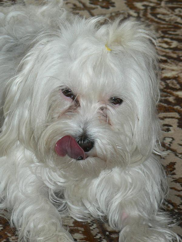 Foto: To bola mňamka.