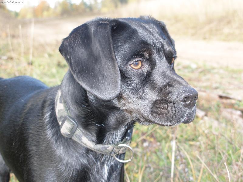 Foto: můj miláček