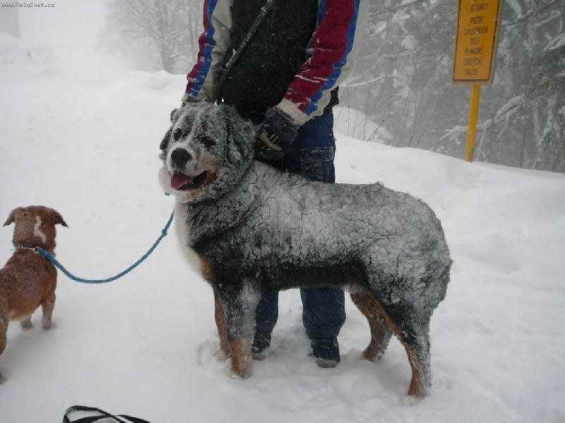 Foto: Konečně zima-copak je to z hafana??:-)