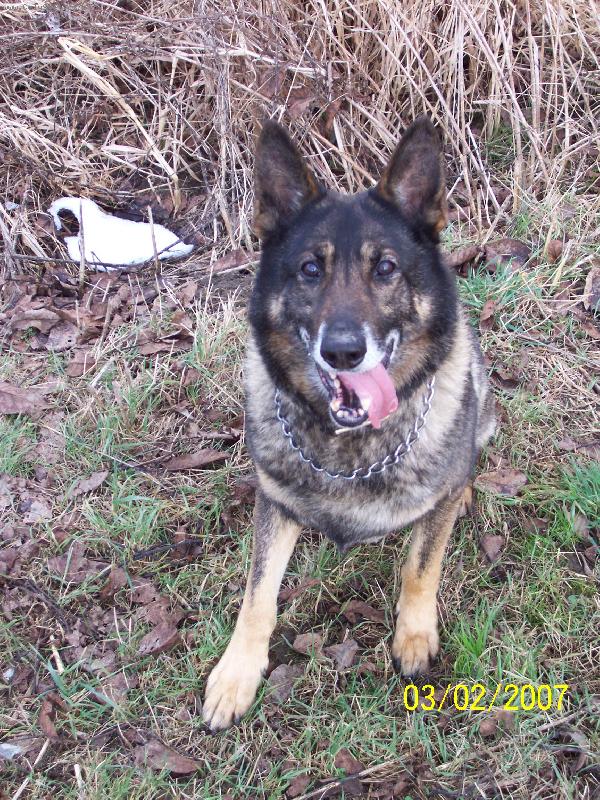 Foto: zimní póza-Beniček