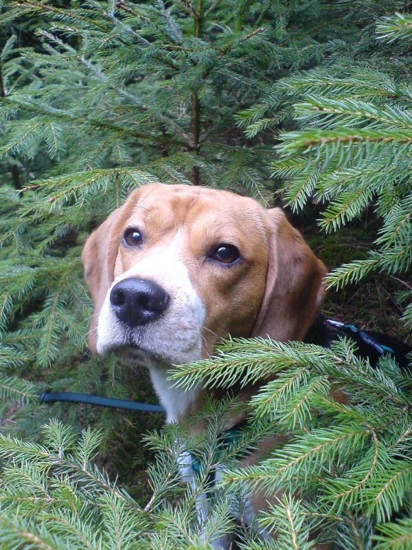 Foto: Eda-teda ani tady nemám na ten bobek klid