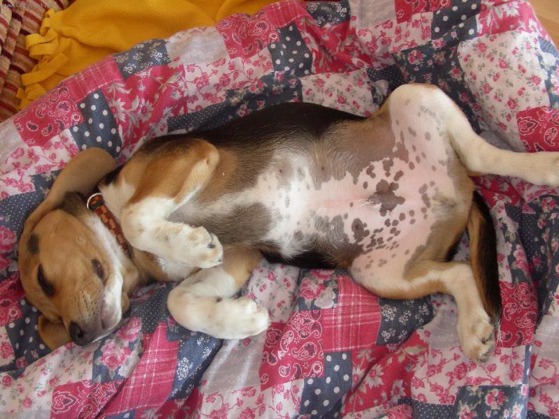 Foto: Nejoblíbenější poloha