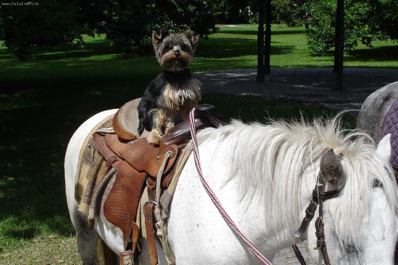 Foto: náš Edoušek-hyjé
