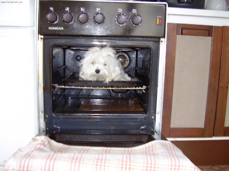 Foto: Vikinka-bydlím u kanibalů