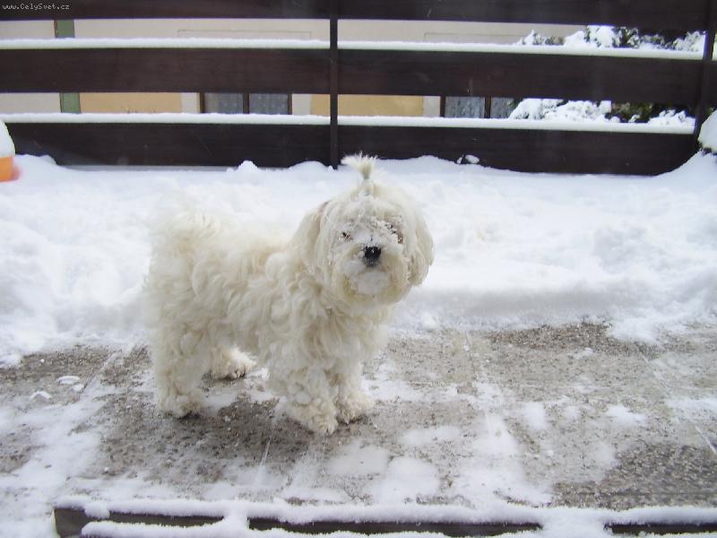 Foto: Vikinka-pomocte mi nevidím a něco mě táhne k zemi