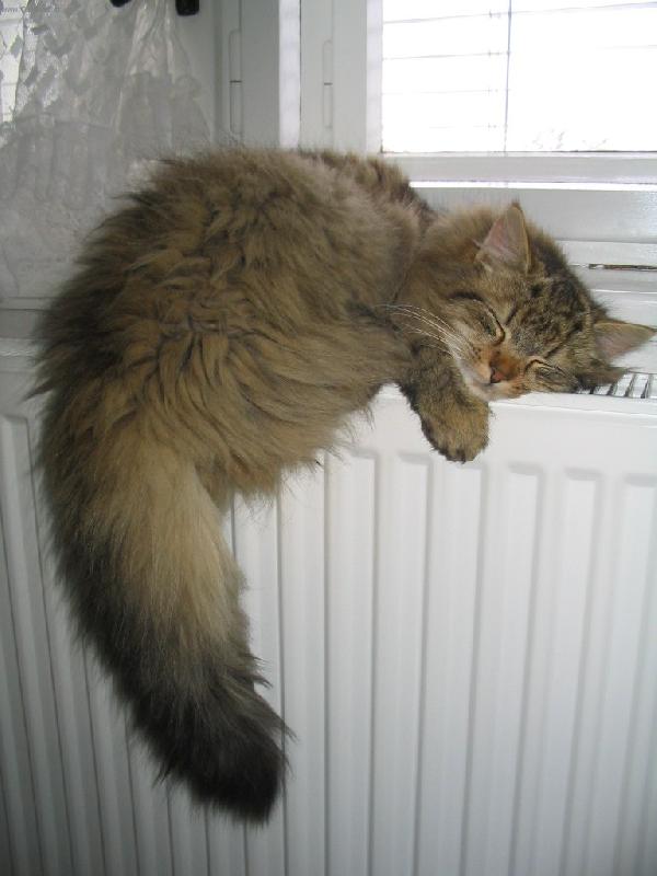 Foto: Hřejivé sny-Naše  Kulička