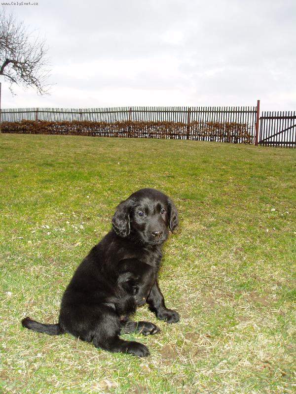 Foto: Ahoj, chci být Tvůj kamarád.-Tak ruku na to.