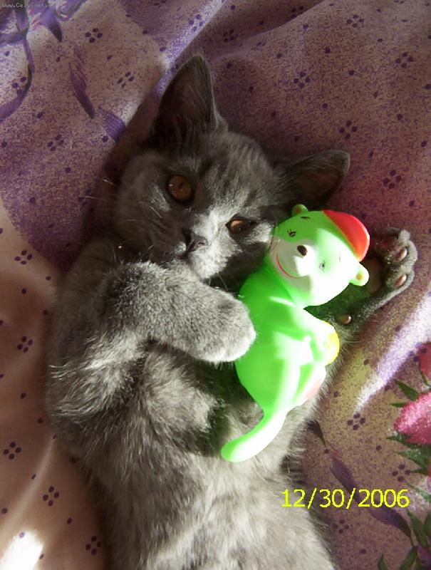 Foto: Bobříky já rád