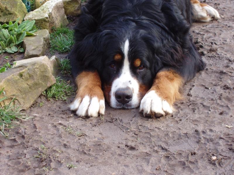 Foto: Bez komentáře....