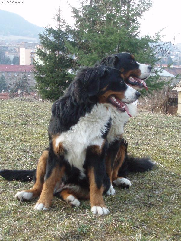 Foto: klony\?\?\?-klony\?\?\?