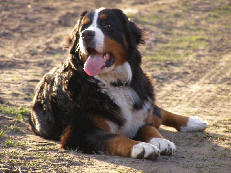 Foto: Elisa ze Staměřic