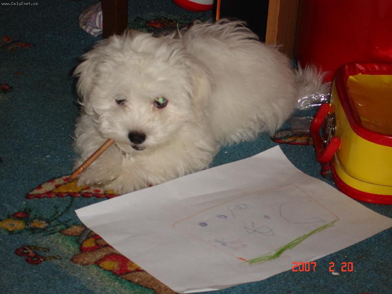 Foto: Jak to s tou tužkou dělají,že jim to píše\?