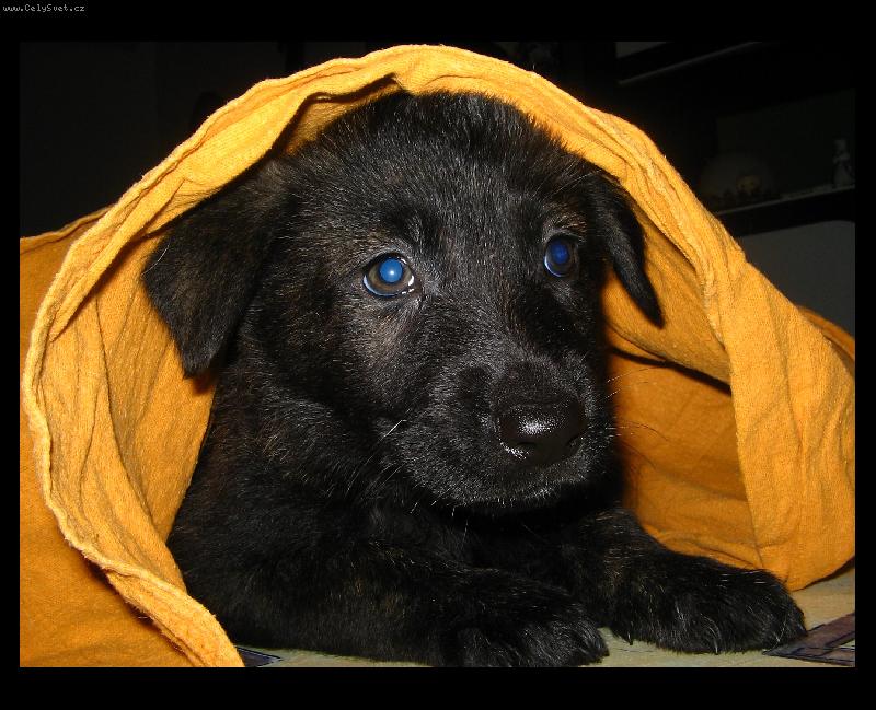 Foto: Dobré ráno\.\.\.:\)