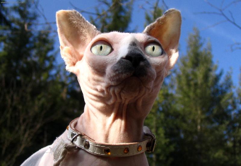 Foto: Ráchel na výpravě...