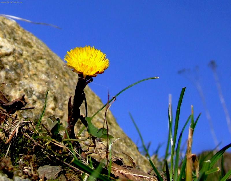 Foto: konečně azůro...