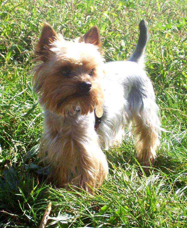 Foto: Rozhlížím se...........