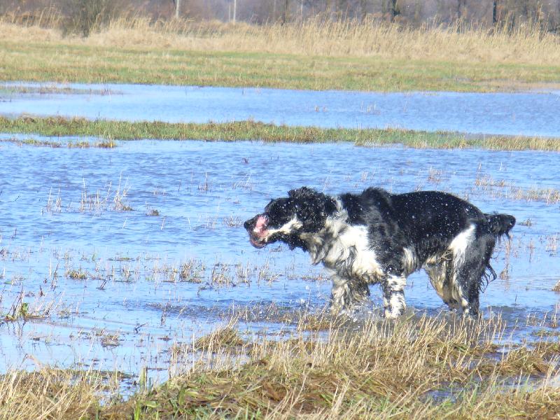 Foto: Benji-ještě se oklepu a půjdu
