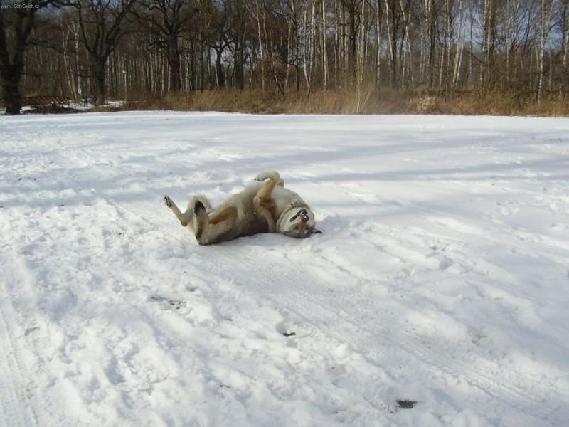 Foto: koukejte jak umim valet sudy:-))