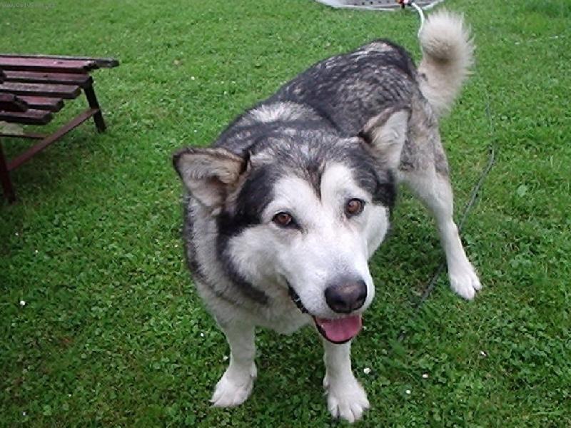 Foto: Budeme si hrát?-Barunka, naše sluníčko