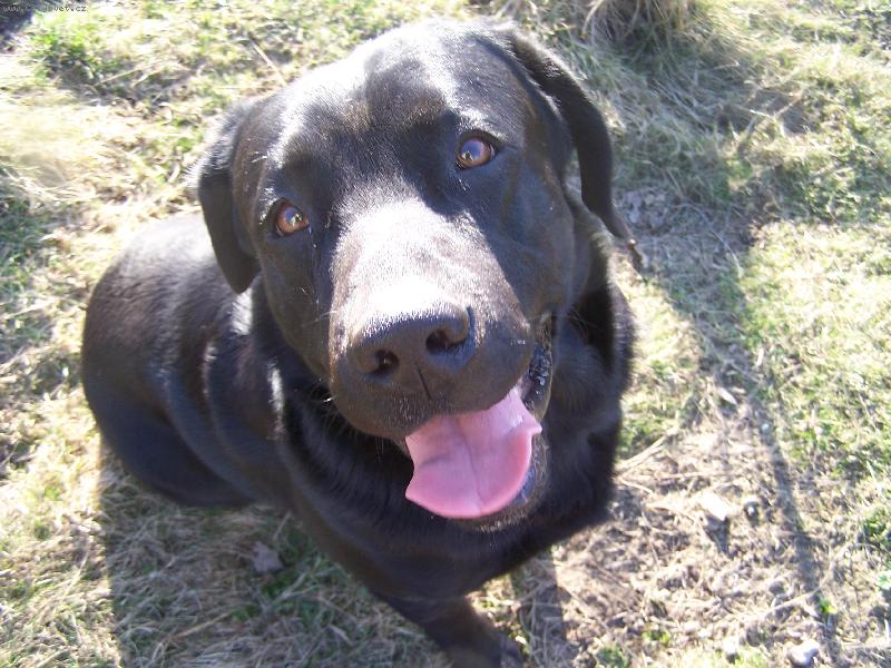 Foto: Maxik-Jééé to je sranda :-)