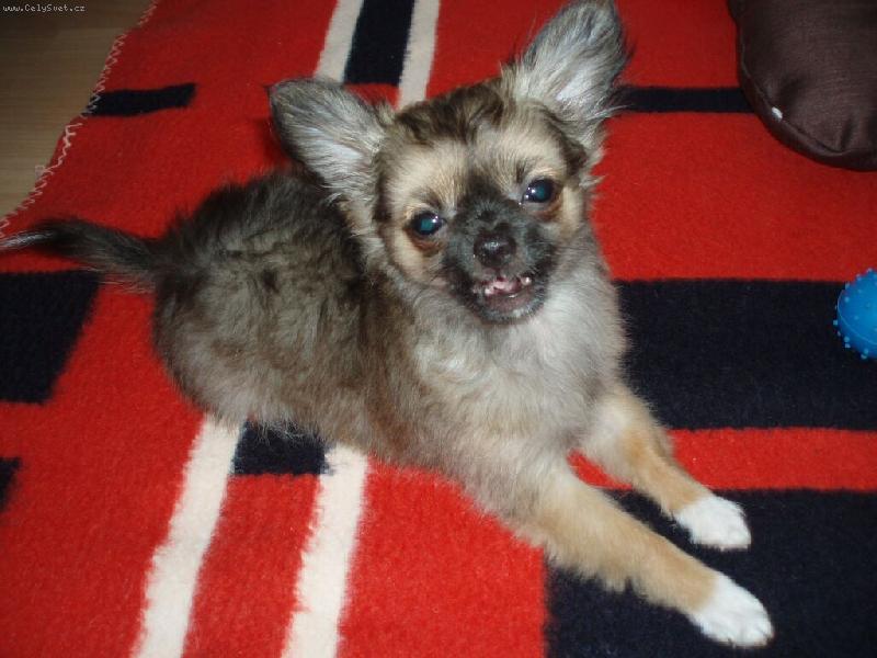 Foto: NELLY-úsměv prosím