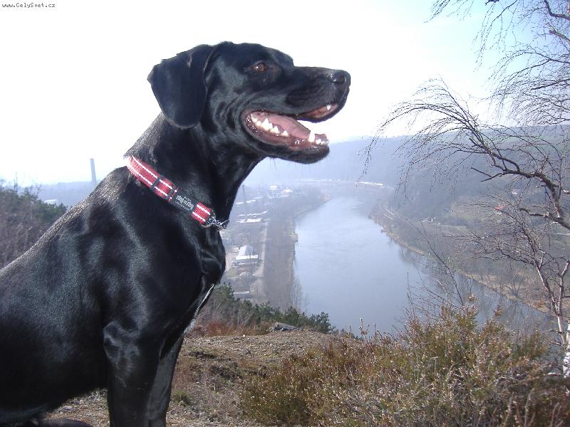 Foto: Senečka-na skále se nám podařilo vyfotit