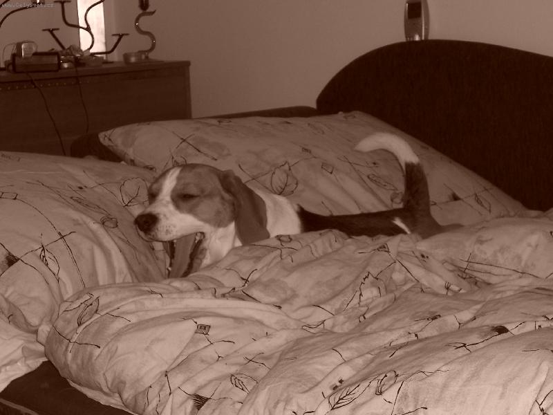 Foto: ÁÁááá to je námaha to protahování